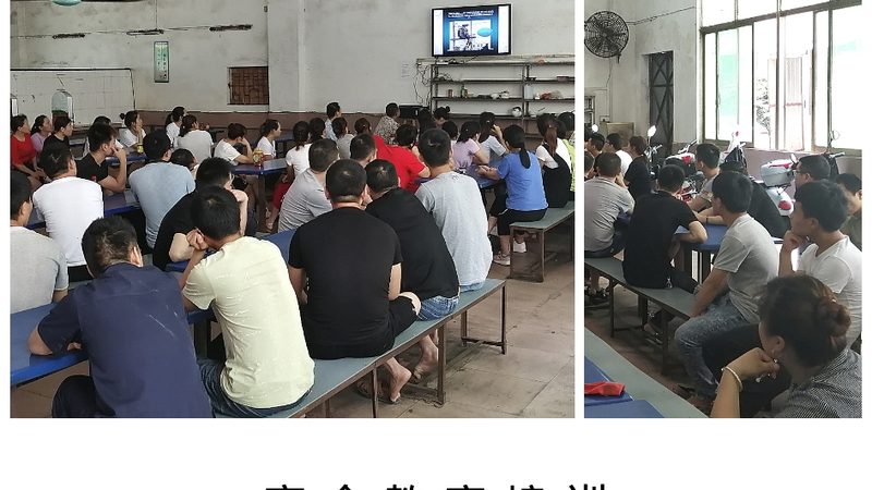 研究生数学小班辅导：揭秘其优势与潜在问题